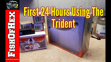 First Impressions Of The Neptune Apex Trident | Good & Bad