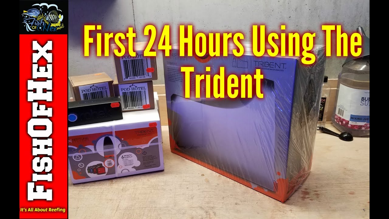 First Impressions Of The Neptune Apex Trident Good & Bad YouTube