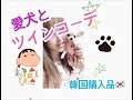 愛犬とツインコーデ【双子】おそろいのパジャマでテンション上がる♫韓国購入品