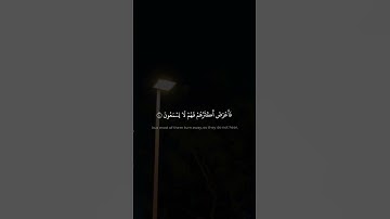 بَشِيرٗا وَنَذِيرٗا فَأَعۡرَضَ أَكۡثَرُهُمۡ فَهُمۡ لَا يَسۡمَعُونَ | سورة فصلت | محمد صديق المنشاوي