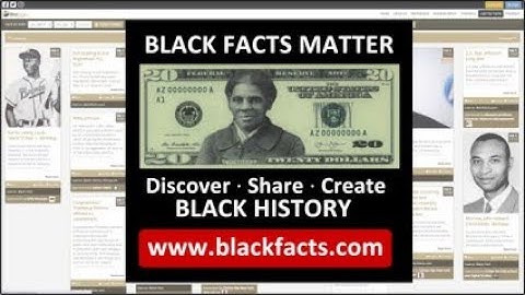 Blackfacts in 5 minutes