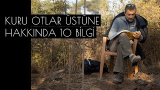 Kuru Otlar Üstüne Hakkında 10 Bilgi | Nuri Bilge Ceylan'ın Yeni Filmi