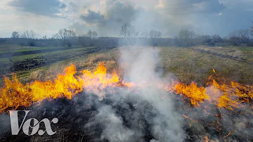 How decades of stopping forest fires made them worse