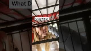 Değişik Gülen Papağan Mmmmwaaa