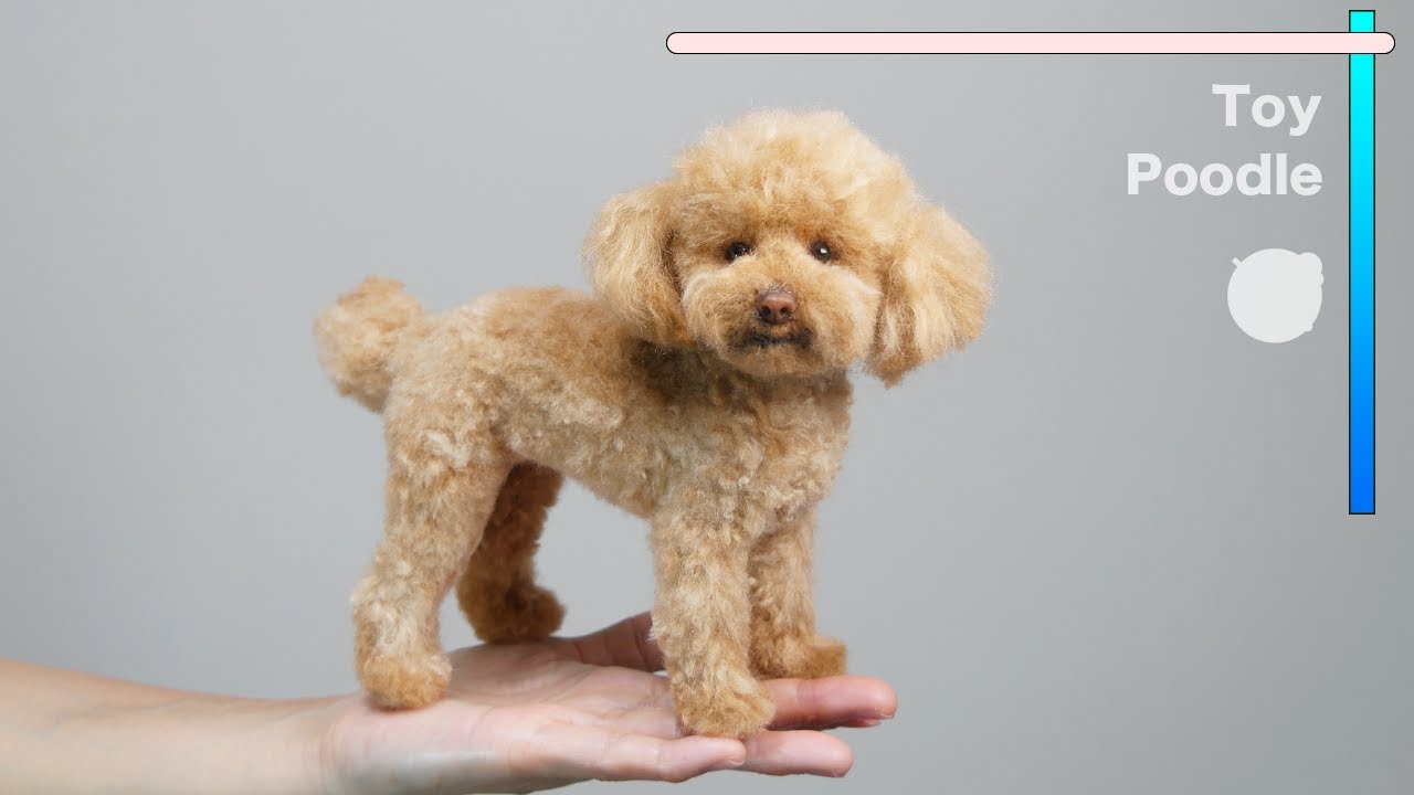 羊毛フェルトトイプードル　tomovus 羊毛フェルトトイプードル tomovus 羊毛フェルトトイプードル