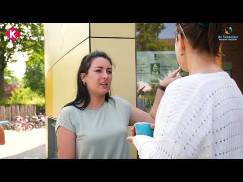 Hoe werd OBS De Sleutelaar in Bladel een Klassewerkplek?