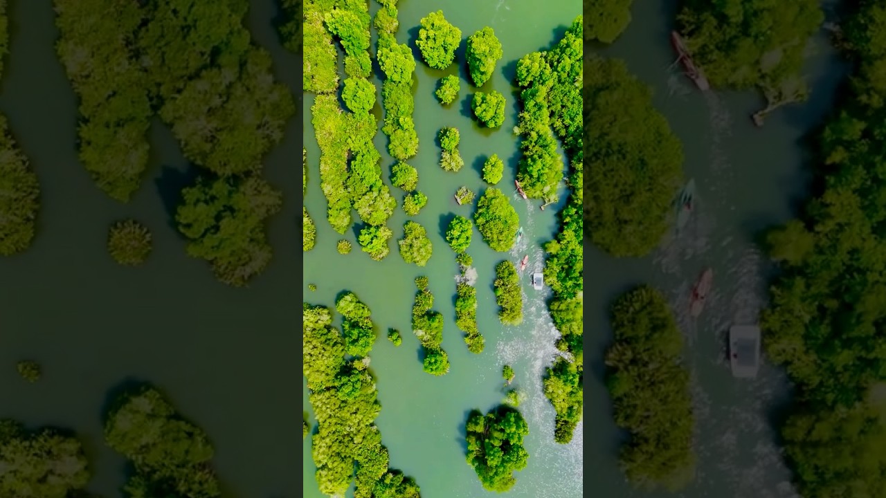 Kerala’s Hidden Gem💚MUNROE ISLAND💚