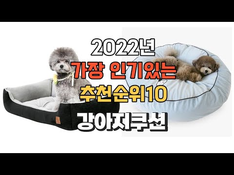 이거 강력추천 가성비 최고 강아지쿠션 비교 추천판매순위 top10