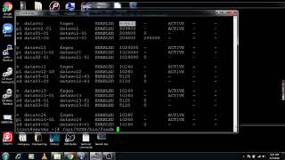 6. (VxVM) Veritas Volume Manager Volume  resize volume by Growby and Growto