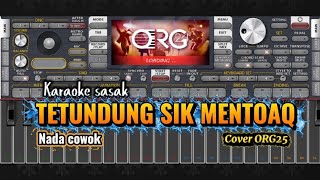 Karaoke sasak || TETUNDUNG SIK MENTOAQ || Versi dangdutt ori fulll aturrr🎶🎶
