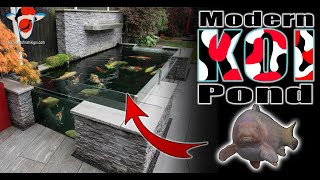 4000gallon Modern Koi Pond + Large Koi Collection