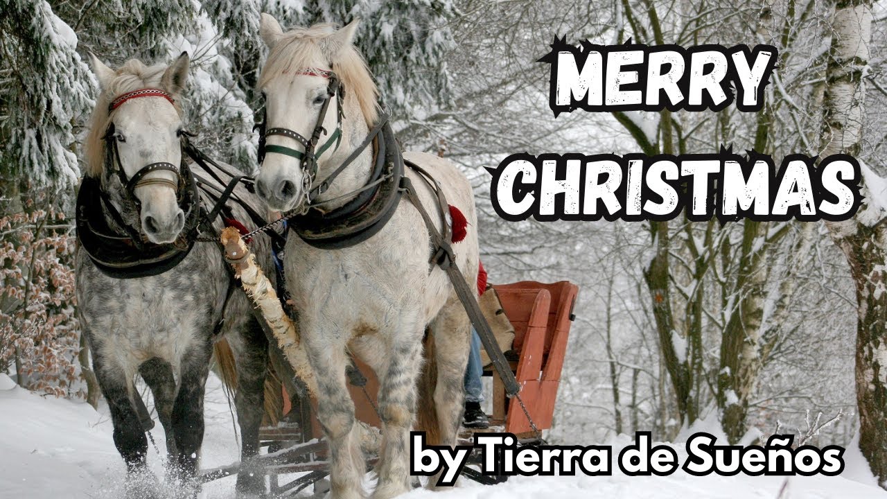 Merry Christmas. Alegre música navideña que te ayudará a levantar el ánimo y reducir el estrés.
