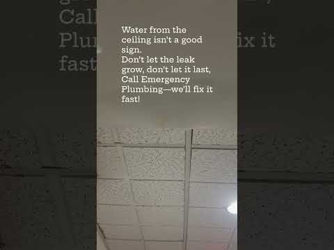 #licensedplumber #plumbingrepair #plumbingproblems #plumbingsolutions #localplumber #plumber