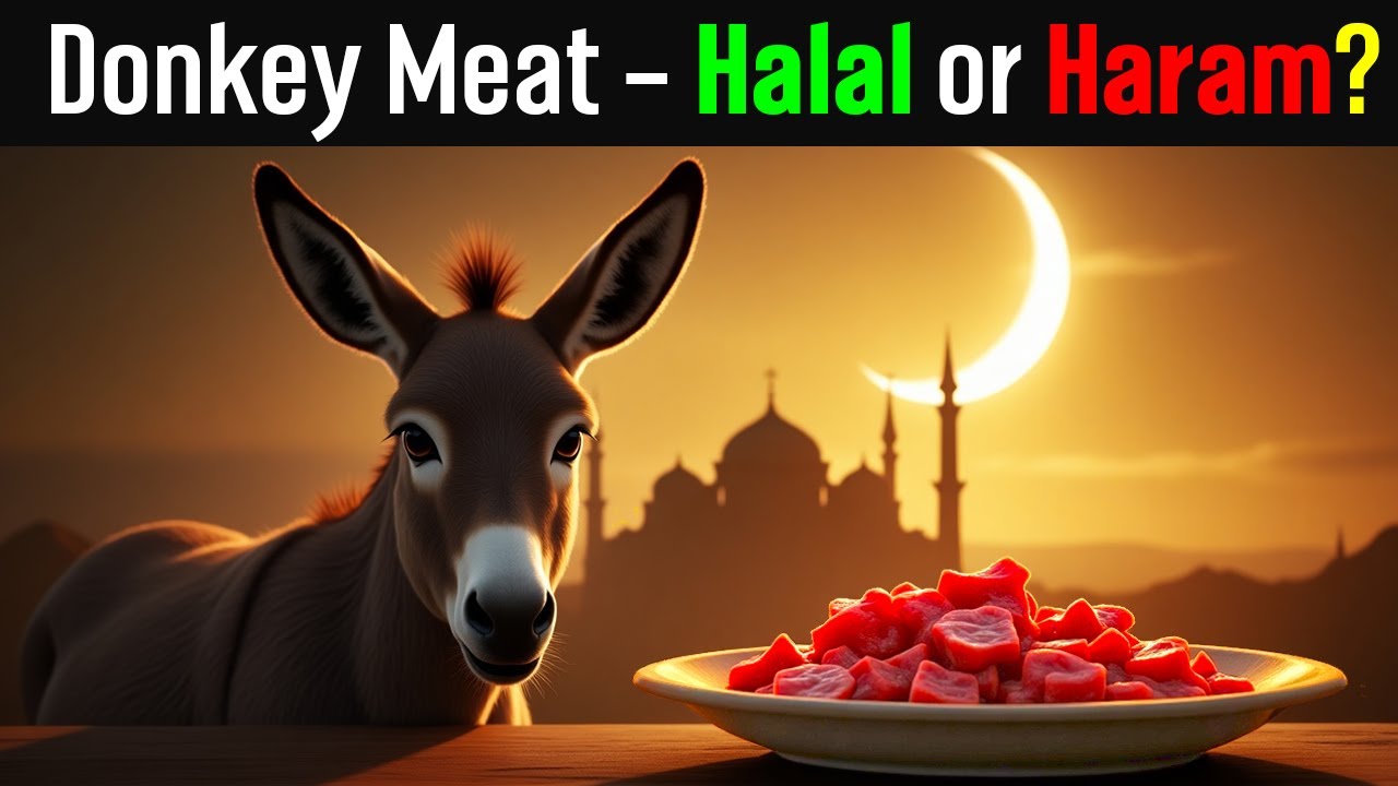 Is Donkey Meat Halal or Haram? The Islamic Ruling Explained