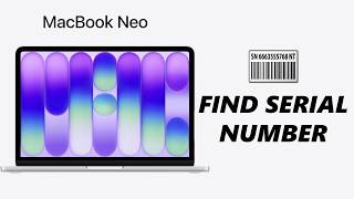 How To See Serial Number On MacBook Neo
