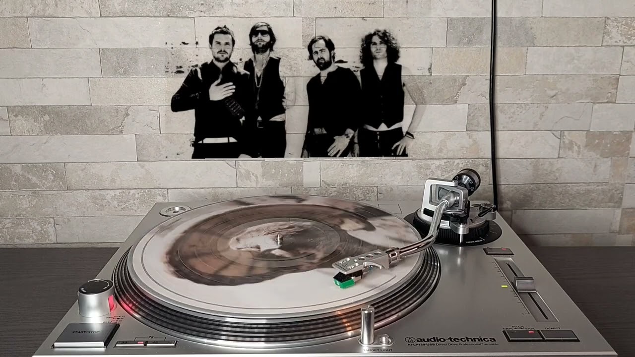 The killers - Bones Vinyl (Audio HQ)