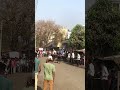 Ghoda gadi race Kolhapur 🔥🐎 || घोडा गाडी शर्यत || घोडा शर्यत कोल्हापूर || #shorts