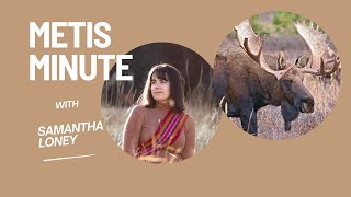 Metis Minute: Captain of the Hunt