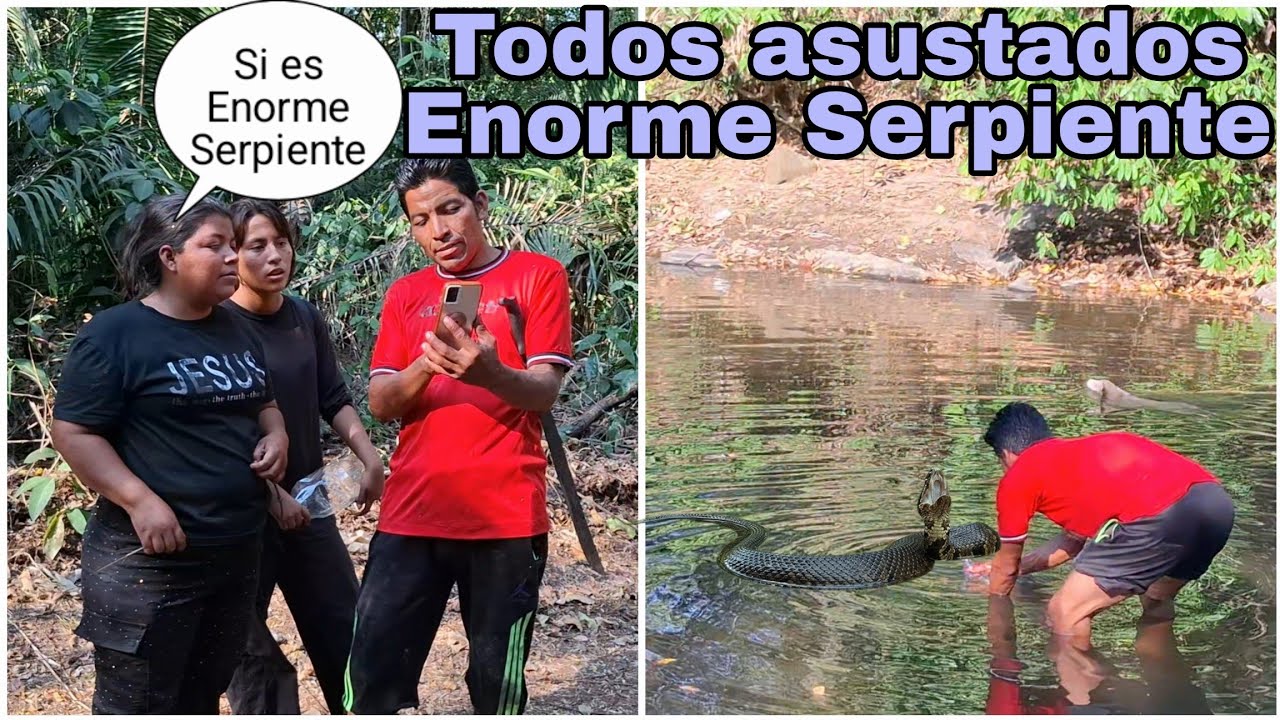 🔴Santo Dios Una Enorme Serpiente Casi pic4 a amilcar En el agua😱Rosi grita del gran miedo