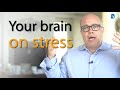 How your brain deals with rising stress emotional intelligence needed