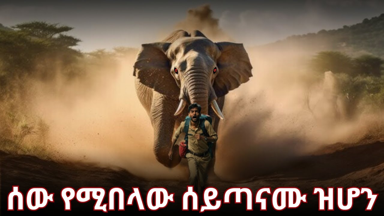 እውነተኛ ታሪክ፡ ሰው እየገደለ የሚበላው አረመኔ ዝሆን.