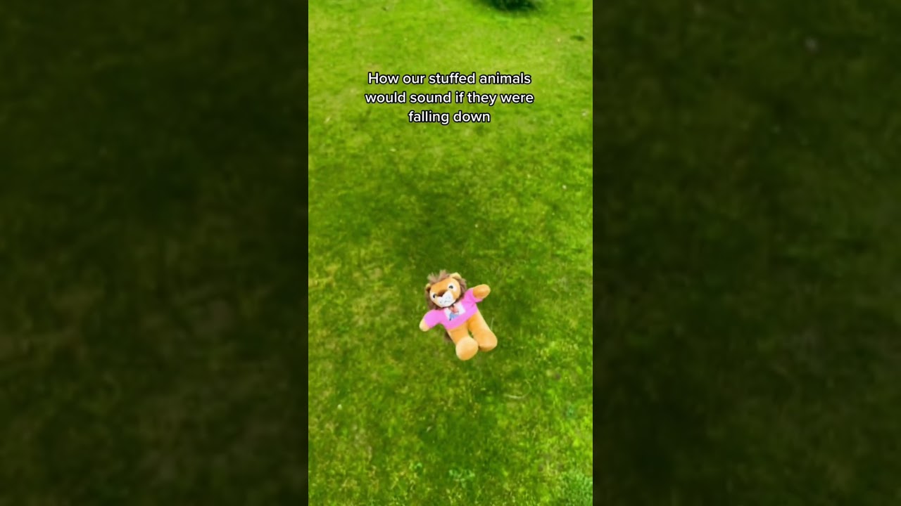 How Our Stuffed Animals Would Sound Falling😭 - Check Description💙