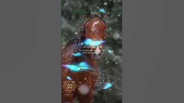 تلاوة خاشعة عطرة مباركة جميلة عذبة للشيخ فارس عباد ماتيسر من سورة الكهف