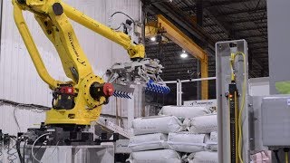 Robotic Bag Palletizer using vision (AR-235 Series)