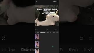 MOVING SCREEN TUTORIAL (CAPCUT)#cats#cat#edit#capcut#tutorial#shorts#viral#recommended