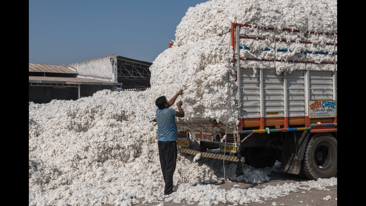 Рынок хлопка. Packed Industrial Cotton. New Technologies in the Cotton industry 2023.