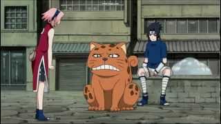 Naruto Transforms Into A Cat