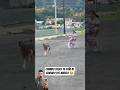 Ojalá Los Abuelitos Fueran Eternos ✨️🫶 #kids #memes #shorts #viralvideo