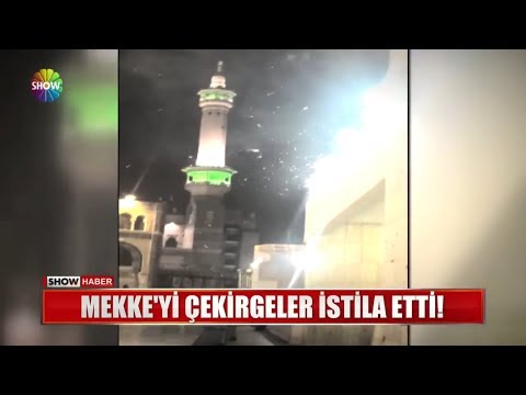 Mekke'yi çekirgeler istila etti!