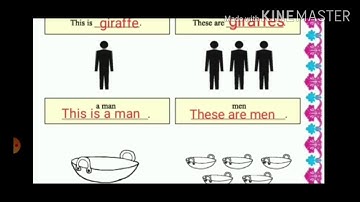 STD - 5 અંગ્રેજી unit 2 umbrellas are colourful  Activity :- 6 , 7 (a,b)
