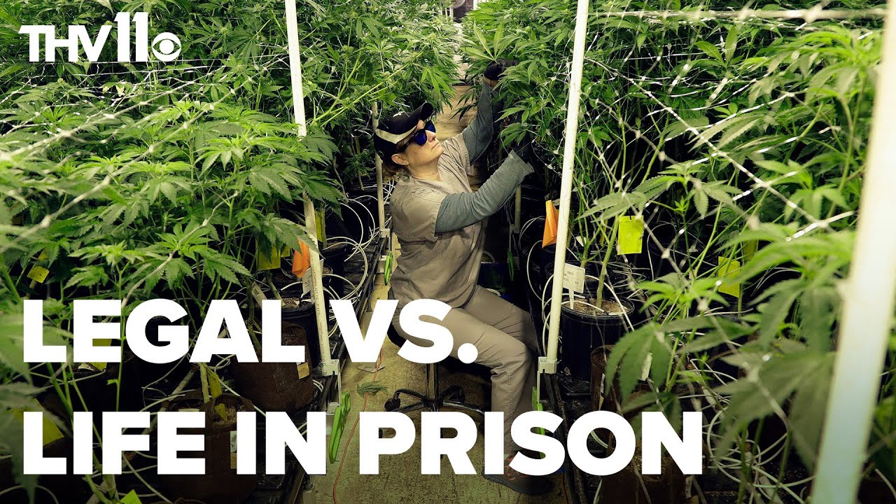 How the marijuana industry in Arkansas is complicated