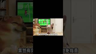 用鼓励的方法沟通 #cheems #cheems小剧场