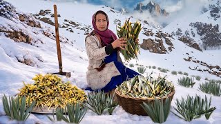 Harvesting Wild Vegetable from Snowy Mountains in Afghanistan | Cooking Village Style Food