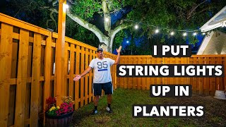 DIY String Lights in Planters For Your Backyard