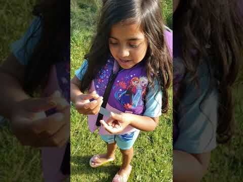 Twins found a snail shell at Twin lake Alberta. Please share and subscribe.