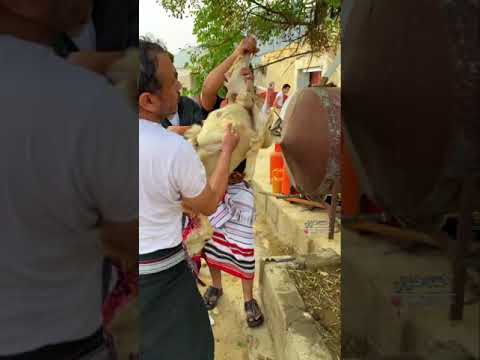 مرحبا حسب السوالف والعوايد 