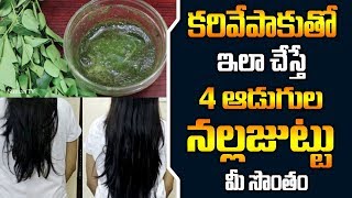 Grow Thick Hair With Curry Leaf in Telugu || Hair Grow Oil || Har Growth || SumanTV Tree