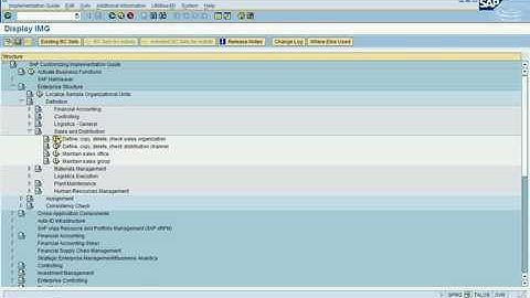 SAP SD Training Video - Enterprise Structure 1/10