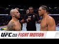 UFC 266: Fight Motion