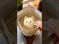 Cat-Shaped Protein Powder🐈⬛#cat #kitten #catlover #catlovers