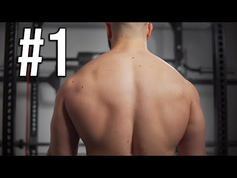 My #1 Shrug For Big Traps