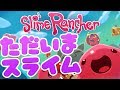 スライムランチャー #37 ただいま!スライム牧場の仲間たち【Slime Rancher】