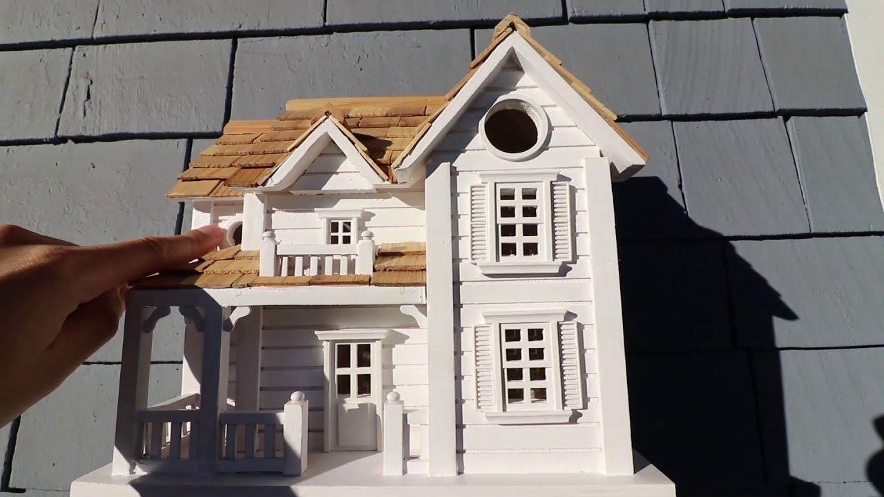 Kevin from Epic Gardening reviews our birdhouse and bird bath! YouTube