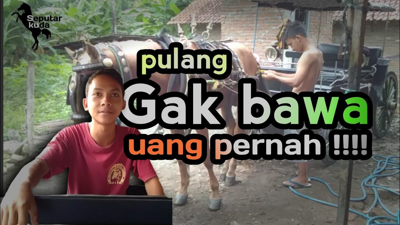 Suka duka kusir andong versi Ridho | seputar kuda - YouTube