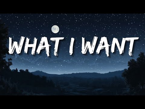 Morgan Wallen What I Want Remix Lyrics Morgan Wallen What I Want Remix Lyrics