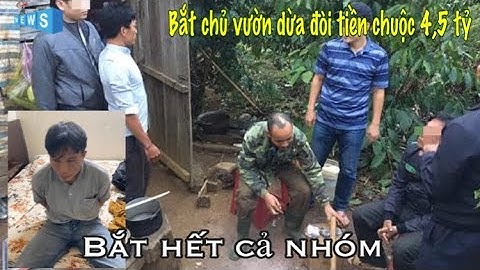 Bắt Nhóm bắt cóc chủ vườn dừa ở Vũng Tàu tống tiền 4,5 tỷ đồng